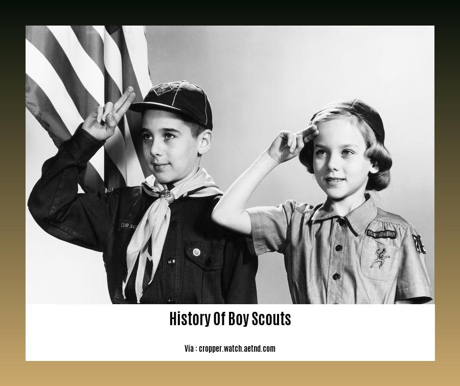 History Of Boy Scouts 2