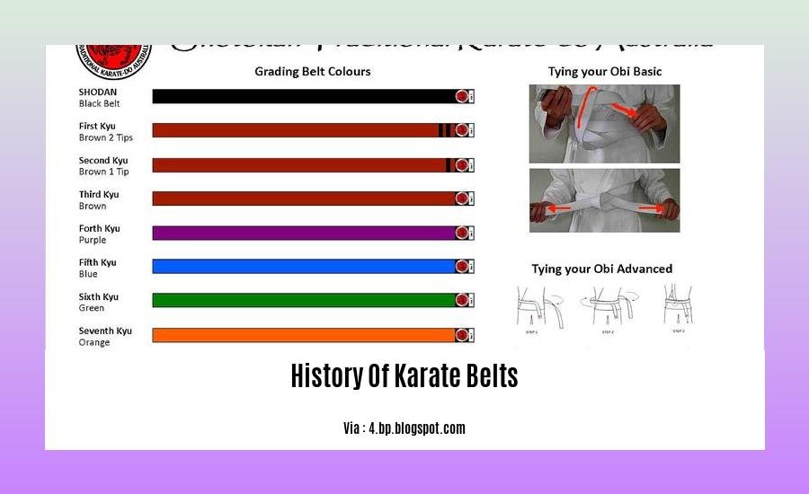 History Of Karate Belts