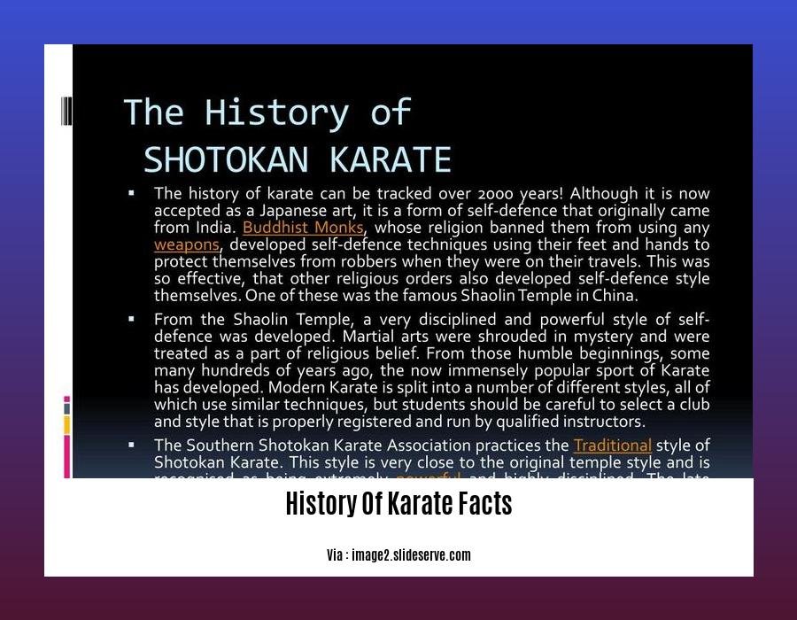 History Of Karate Facts
