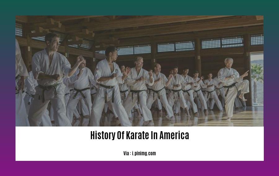History Of Karate In America