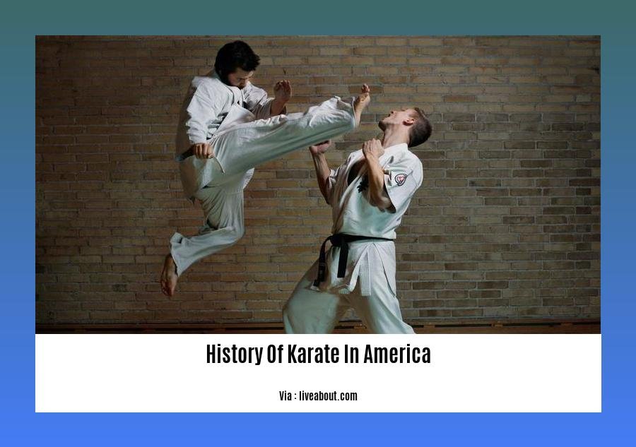 History Of Karate In America