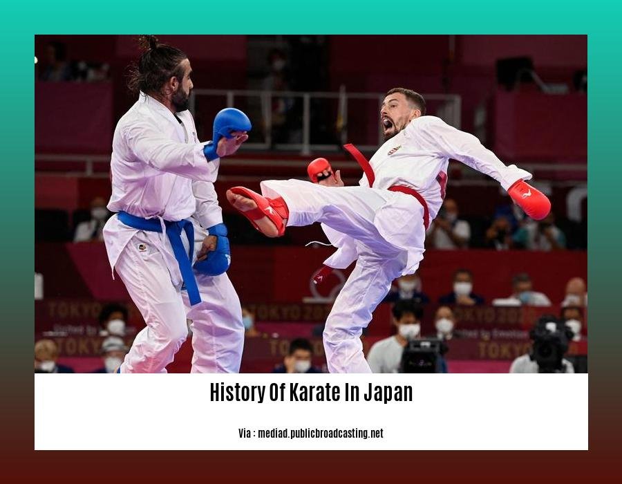 History Of Karate In Japan 2