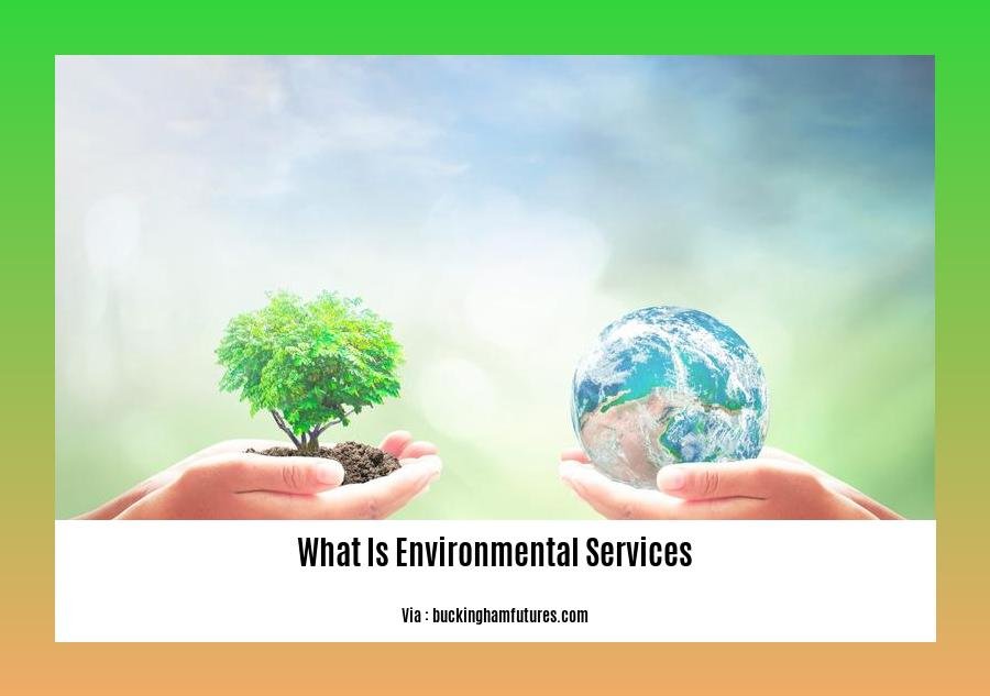 What Is Environmental Services