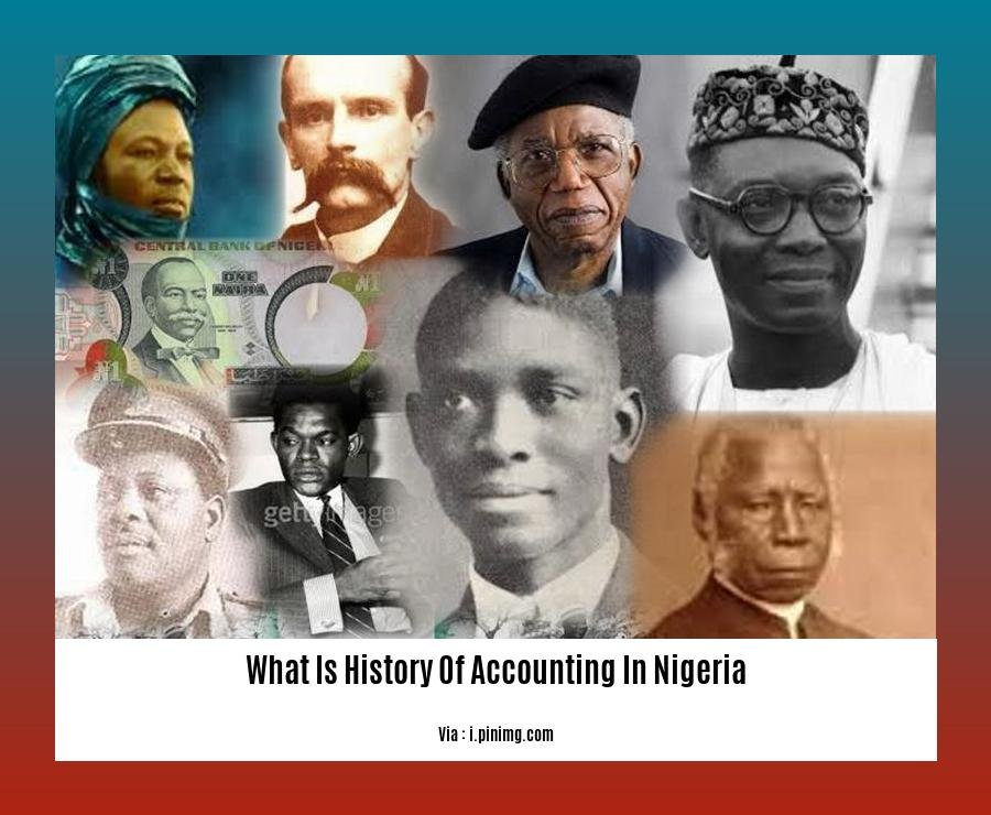 What Is History Of Accounting In Nigeria 2