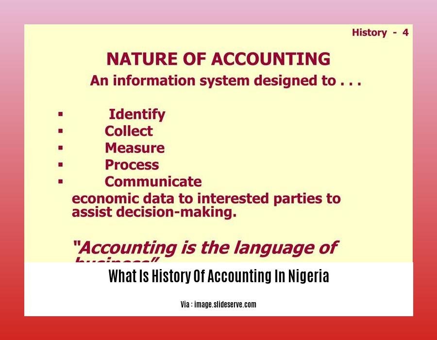 What Is History Of Accounting In Nigeria