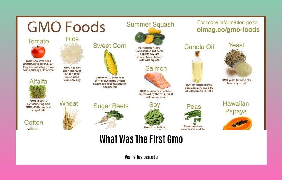 What Was The First Gmo