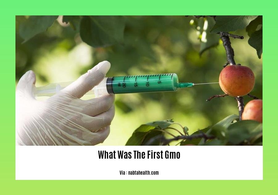 What Was The First Gmo 2