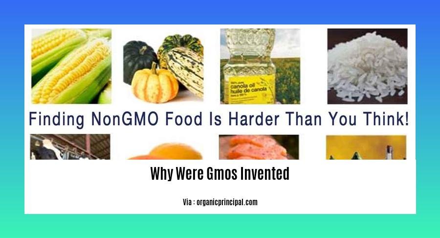 Why Were Gmos Invented 2