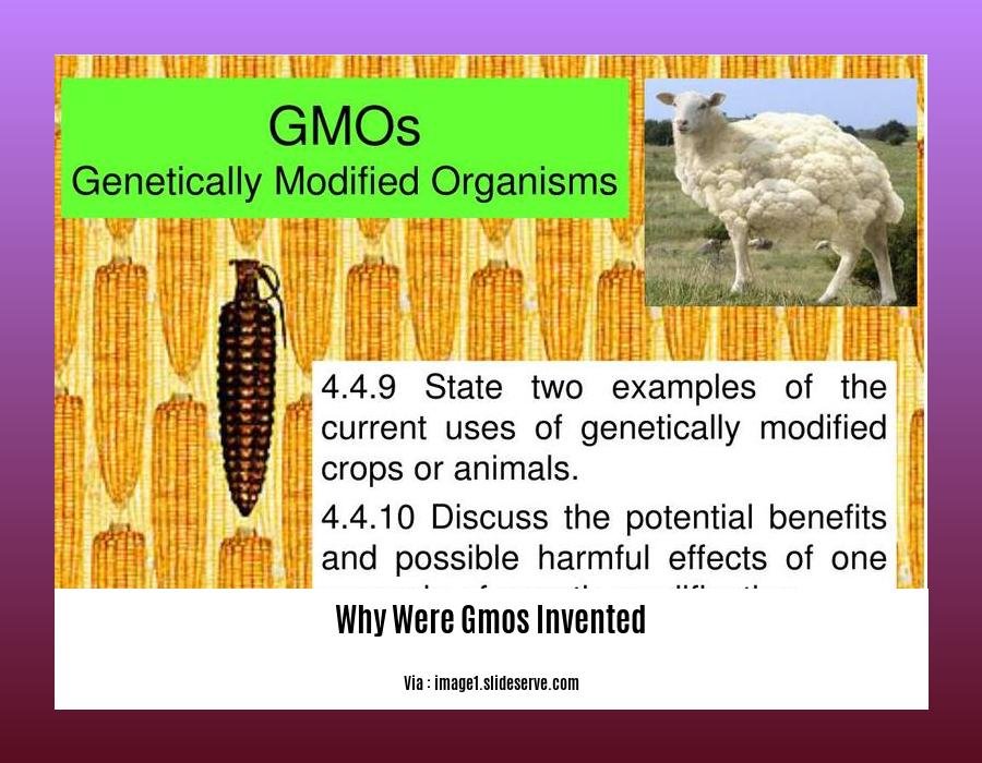 Why Were Gmos Invented