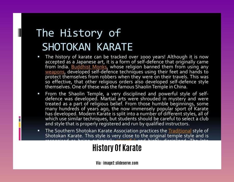 history of karate 2