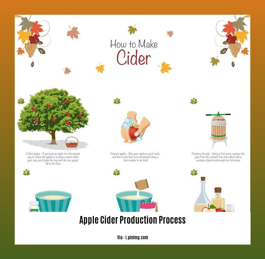 apple cider production process 2