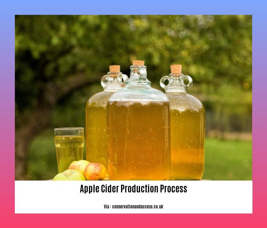 apple cider production process