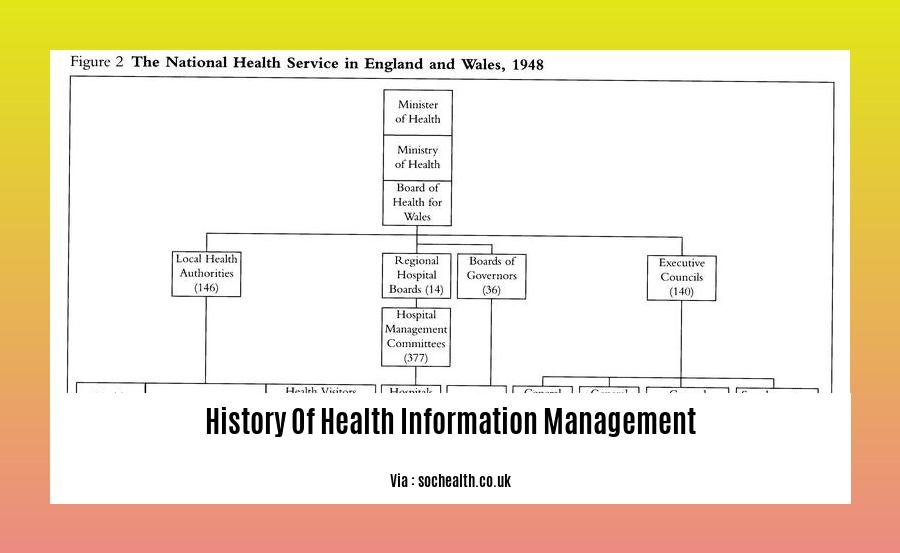 history of health information management 2