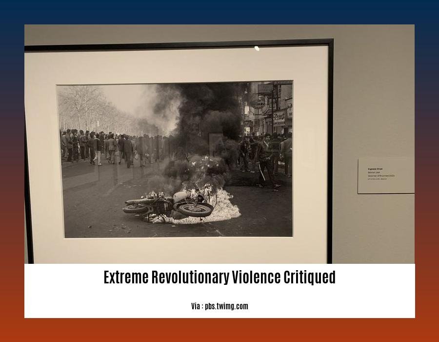 extreme revolutionary violence critiqued
