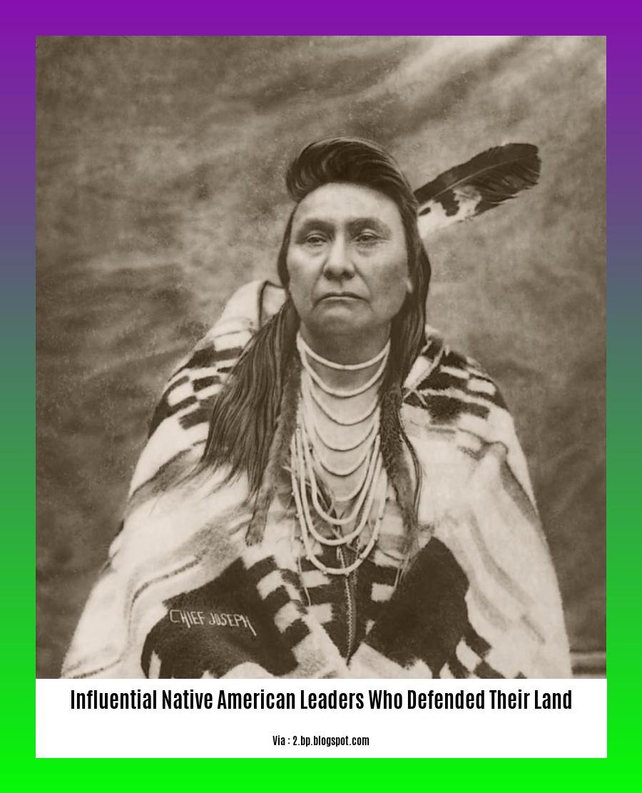 influential native american leaders who defended their land 2