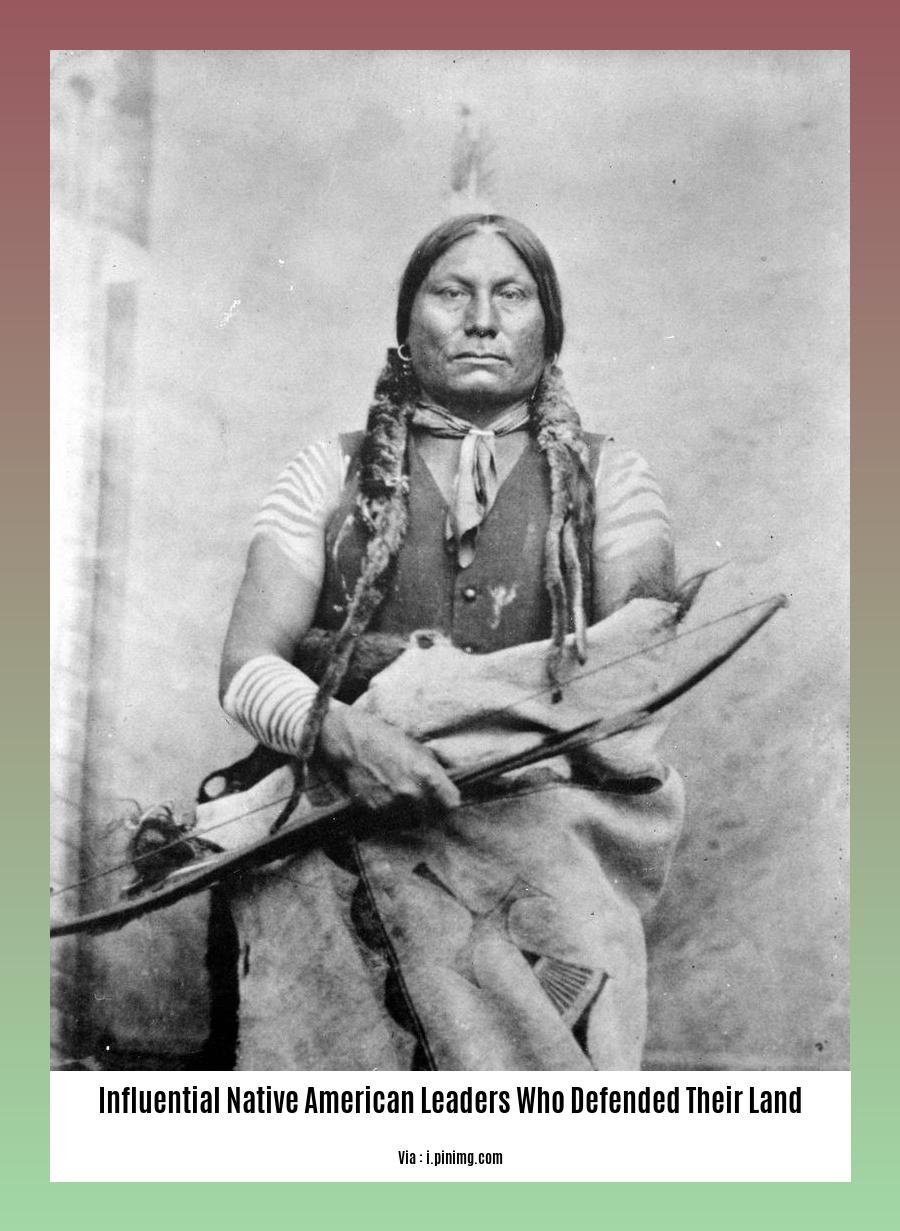 influential native american leaders who defended their land