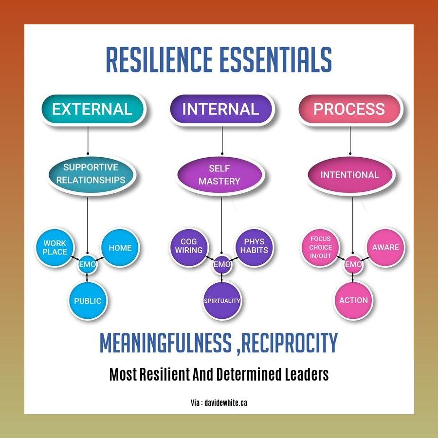 most resilient and determined leaders 2