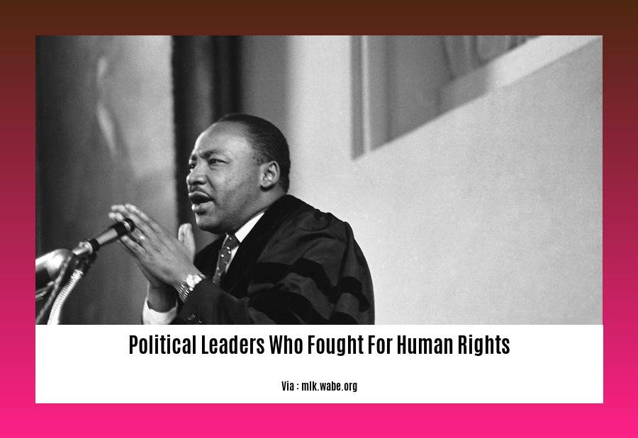 political leaders who fought for human rights 2