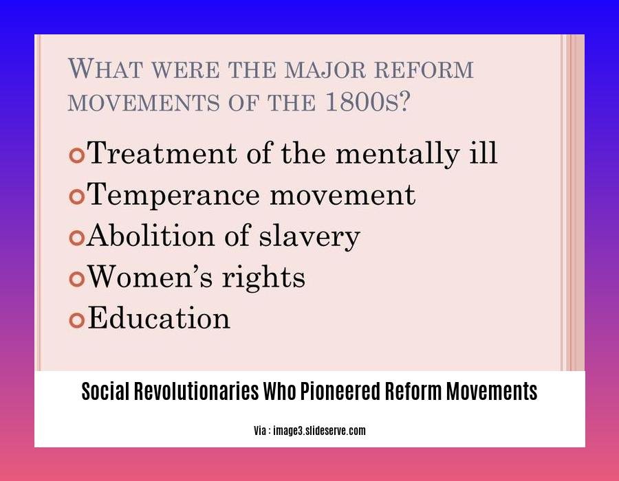 social revolutionaries who pioneered reform movements