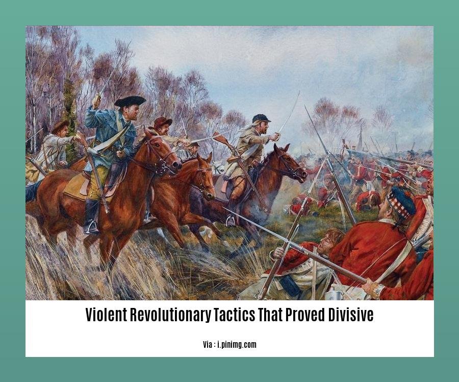 violent revolutionary tactics that proved divisive
