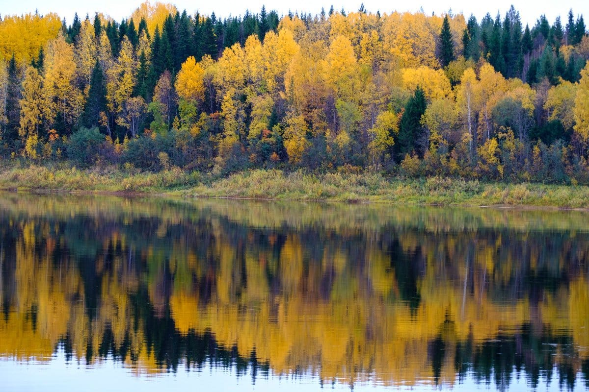 The Taiga Biome: Largest Land Biome on Earth