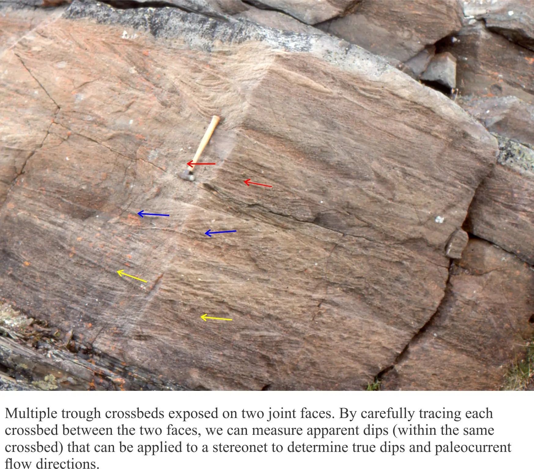 Paleocurrent Indicators in Clastic Rocks