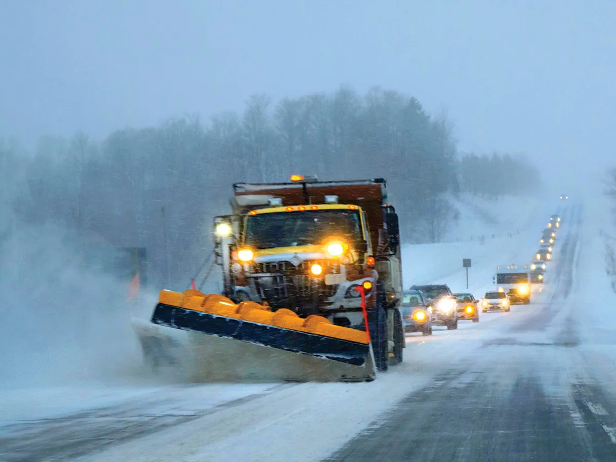 Unraveling the Blizzard: Fun Facts About These Winter Wonders