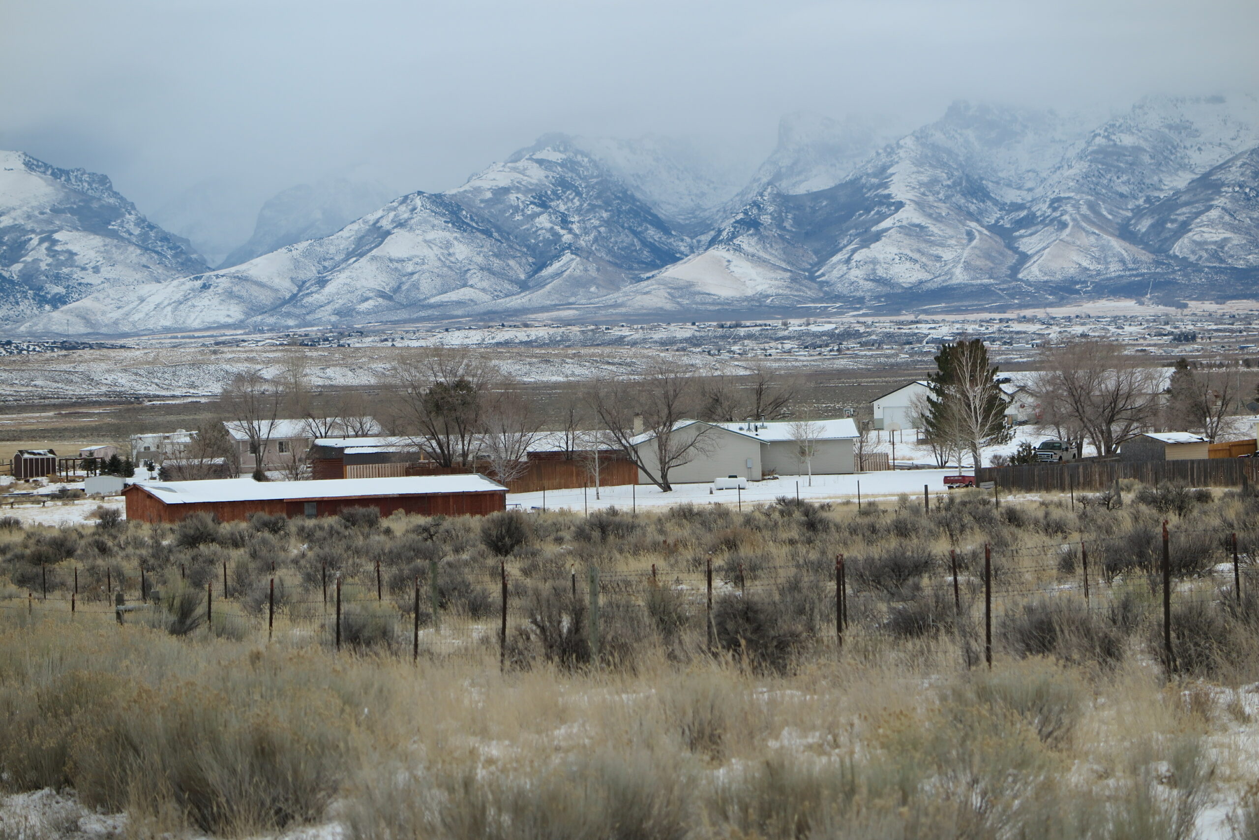 Elko, Nevada Population Growth, Trends & Demographics (2024)