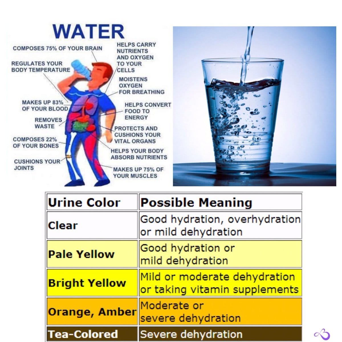 12 ounces water in litres