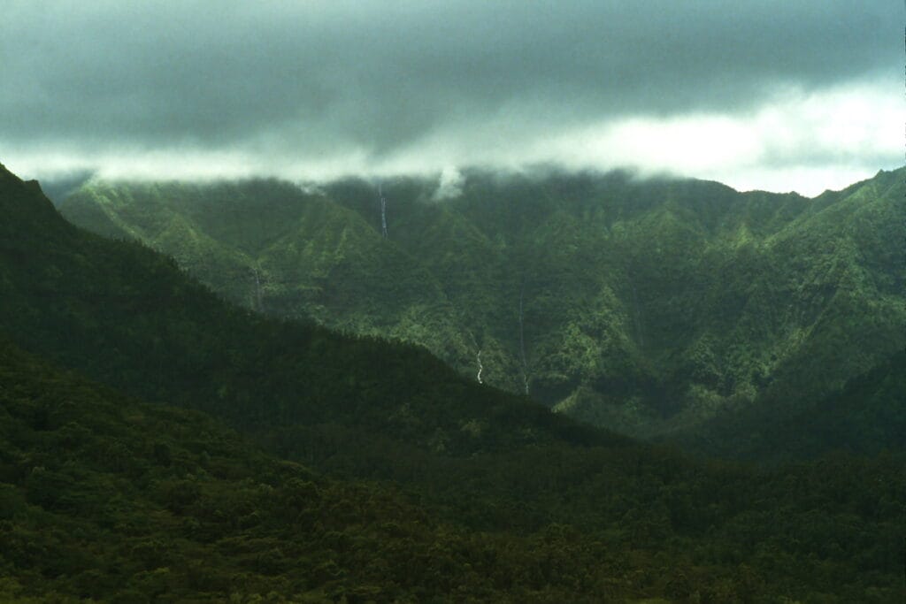 Hiking Mount Waialeale: Conquering Kauai's Weeping Wall