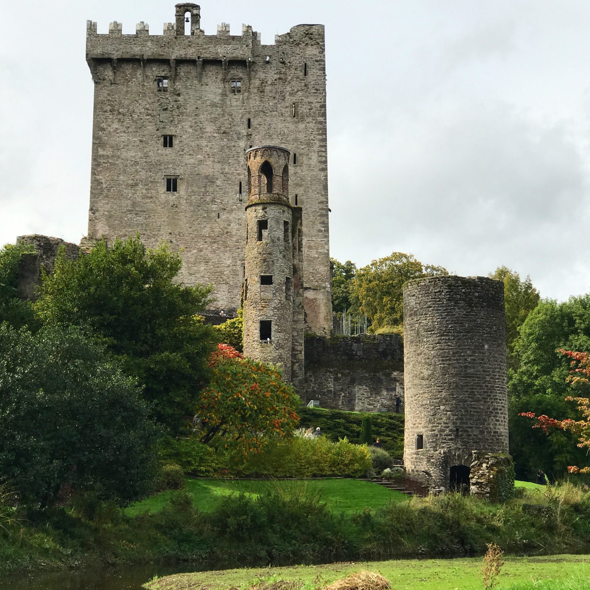 Kissing the Blarney Stone in 2024: A Modern Pilgrim's Guide