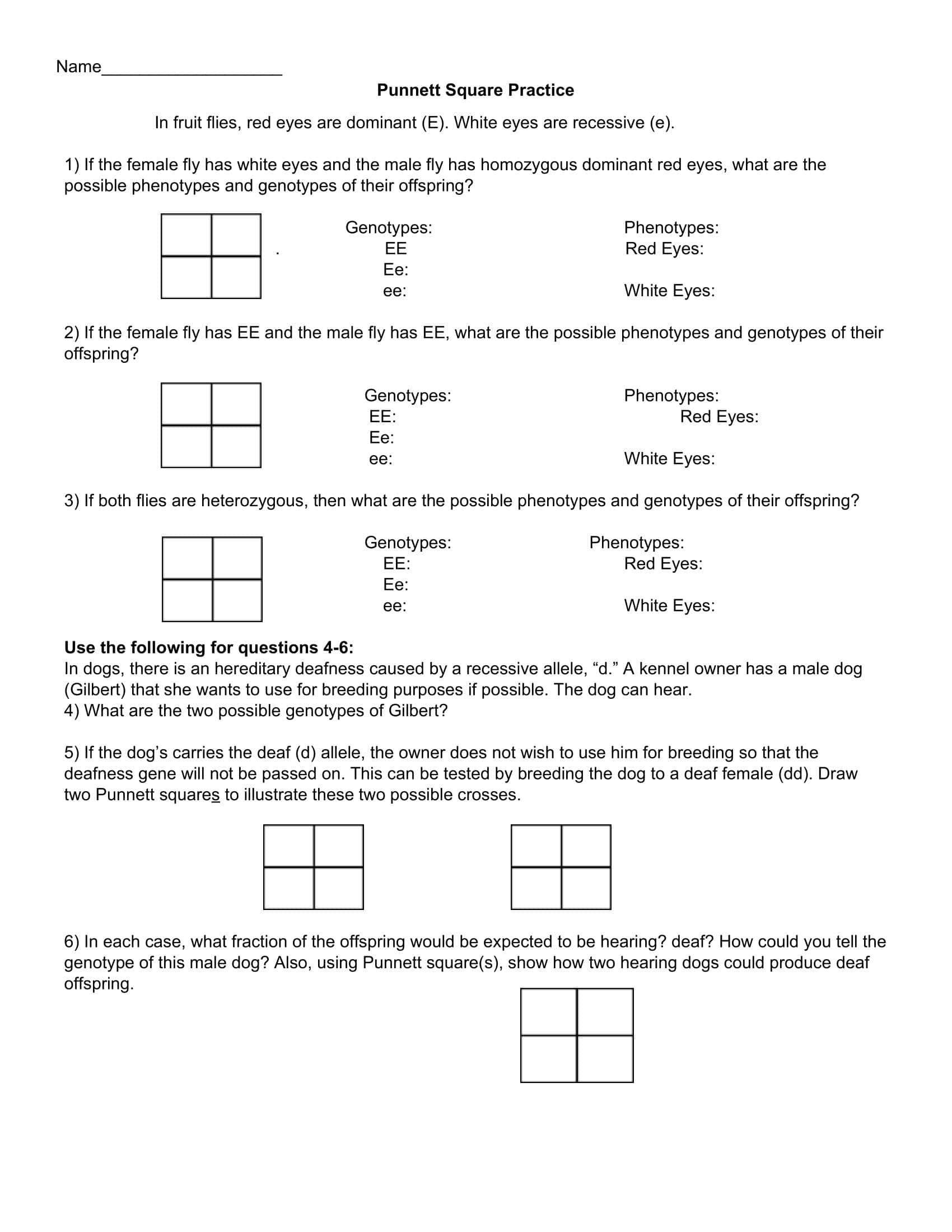 Free Printable Punnett Square Practice Worksheets: Your Guide to ...