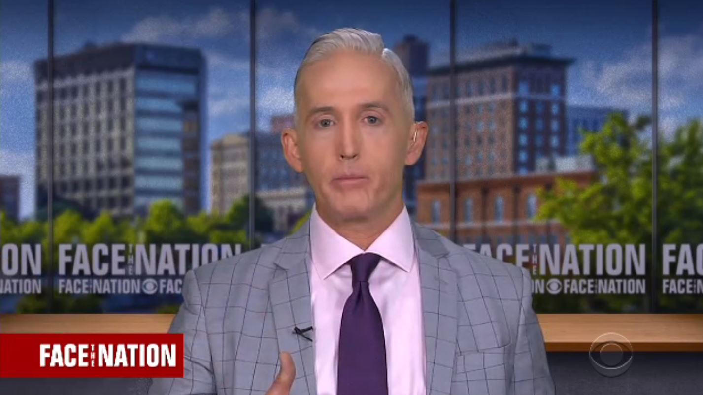 The Fascinating Evolution Of Trey Gowdy's Appearance A Journey Through